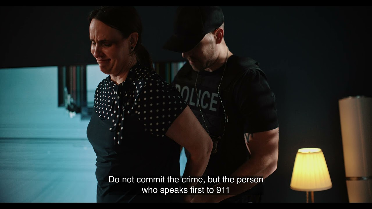 Domestic Violence: Legal and Immigration Impact