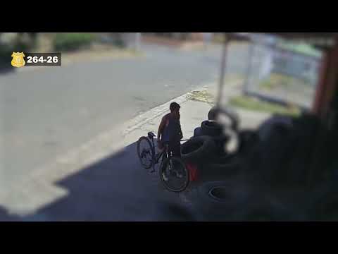 264. Sospechoso de Hurto en Poás, Alajuela.