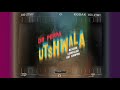 Dr Peppa ft 031 Choppa, Blxckie, Leodaleo - Utshwala visualizer