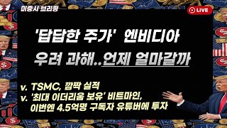 [미국개장] '답답한 주가' 엔비디아, 우려 과해..언제, 얼마나 갈까｜tsmc, 깜짝실적｜'이더리움 최대보유'비트마인, 유튜브채널 투자 등 📢미국증시 브리핑 (260115)