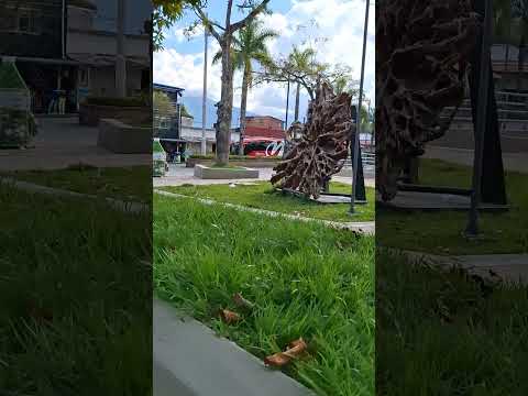 Parque Principal en Cubarral Meta