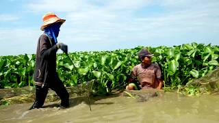 Tonle Sap Lake and Songkhla Lake Basins Communication Outreach Project