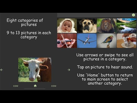 Pictures With Sound
