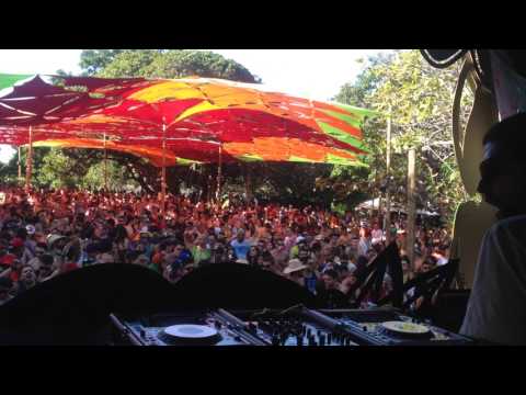 Perfect Specimen Project @ MUV Portal Quântico 2017.1 ( Part2 )