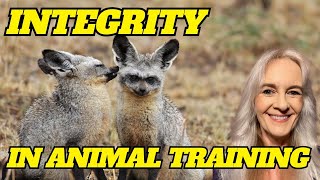 Integrity in Animal Training: Ethics, Boundaries, and the Choices That Shape Our Profession
