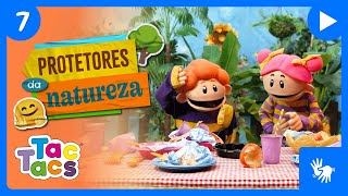 POR QUE NÃO JOGAR LIXO NO CHÃO? | EDUCAÇÃO INFANTIL | LIBRAS