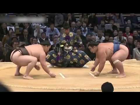 Cuộc sống của SUMO Nhật Bản - Phần 1