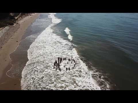 Кадры пляжа Хаскелс, снятые с дрона