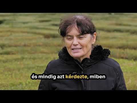 Tűzcsiholó Illésné Áncsán Aranka, Kastélypark