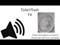 HD Toilet Flush Sound Effect