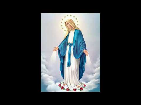 Konferencja o Cudownym Medaliku - Rycerstwo Niepokalanej Chocznia