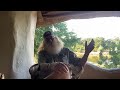 The Smoke That Thunders Kingsley Holgate On Africa The Last Great Frontier Of Adventure