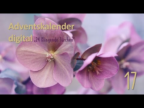 Adventskalender digital   Klingendes Türchen Nr  17