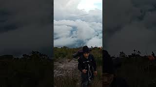 Download lagu Sampai jadi debu #short #sibuatan #sampaijadidebu mp3 Download lagu Sampai jadi debu #short #sibuatan #sampaijadidebu mp3