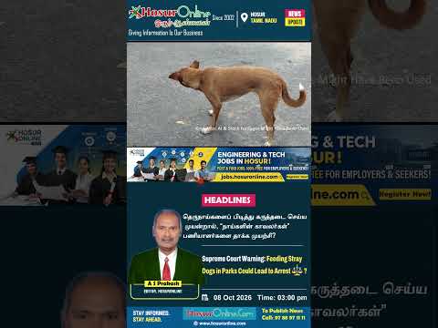 Stray Dog Menace in Hosur: Legal Experts Advise Arrests for Feeding in Public Areas Amid Dumping Allegations