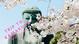 preview picture of video 'Trip to Kamakura [鎌倉之旅]'