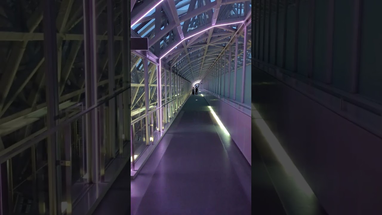 JR Kyoto Station's Skyway