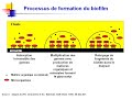 Traitement De L Eau En Hémodialyse