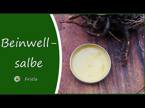 Beinwellsalbe selber herstellen I Anleitung I