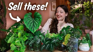 From Dirt to Dollars: A Day Running My Small Business Plant Shop
