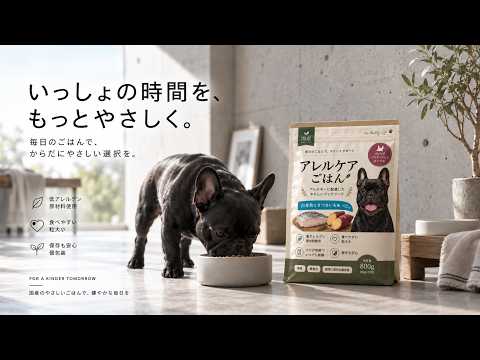 PR・SNS・MVの動画編集を承ります イメージ1