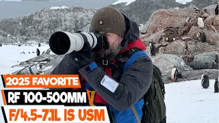 Canon RF 100-500mm Review: Is This the BEST Wildlife & Sports Lens for Canon R?