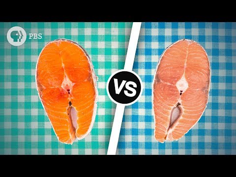天然サーモンか養殖サーモンか？どちらが良いですか? |科学に奉仕する