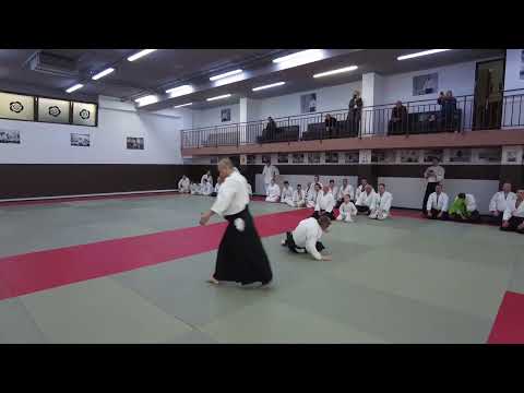 Hiroyuki Sakurai Shihan Class in Cluj