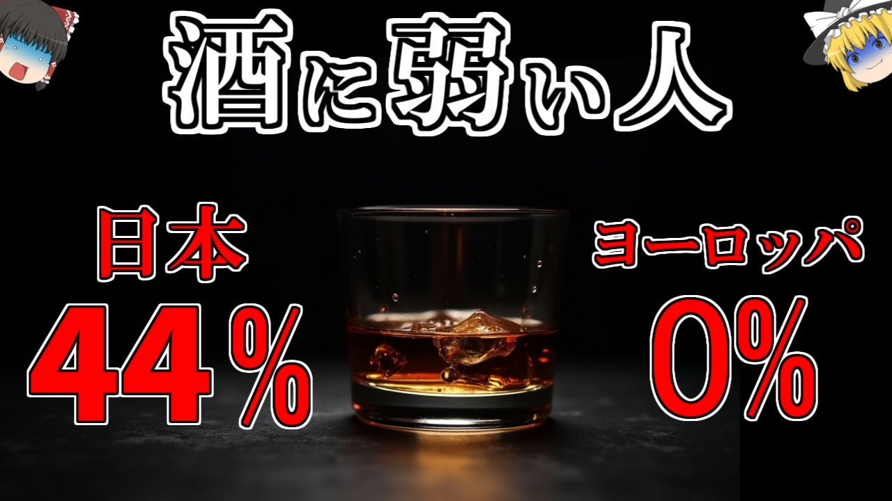 【ゆっくり解説】なぜ日本人は、世界トップレベルでお酒に弱いのか？ーアルコール耐性［低下］の進化ー