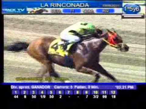 Resumen Sábado 3 de septiembre 2011 - La Rinconada (8 primeras)