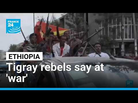 Ethiopia's Tigray rebels in 'full-blown' war with govt