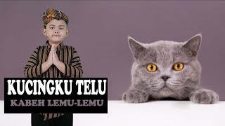 Download lagu Kucingku Telu || Lagu Bahasa Jawa || Kucingku Telu Meang-Meong || Kucingku Telu Kabeh Lemu-Lemu mp3 Download lagu Kucingku Telu || Lagu Bahasa Jawa || Kucingku Telu Meang-Meong || Kucingku Telu Kabeh Lemu-Lemu mp3