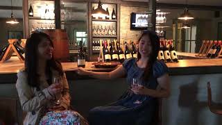 preview picture of video 'Wine tasting in Georgia (April 19, 2018)'