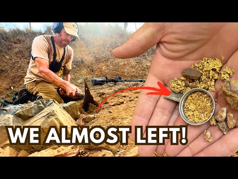 We Were Walking Away, Then One Faint Signal Changed Everything!