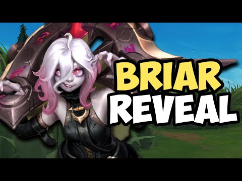 Briar HONEST Champion Spotlight