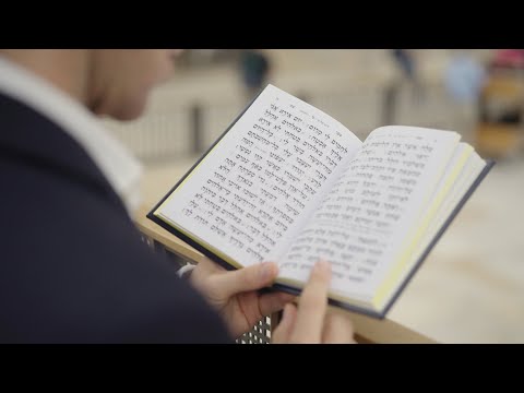 Yafa VeTama - Elior Itzkovitz Cohen | Untertitel auf Deutsch und hebräische Phonetik