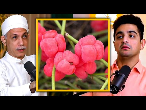 Soma for Spiritual Growth - STILL Used Today - Haoma Ras Explained