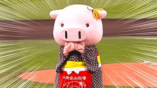 [討論] 今日樂天一隻豬開球