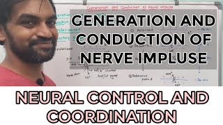 Generation and conduction of nerve impulse