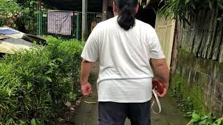 10月20日(日)から5泊6日でフィリピンへ…時期悪がすぎ②