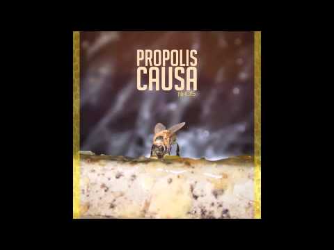 06. ASVI (with Bosky) - Music by Baghira [Nhois - Propolis Causa]