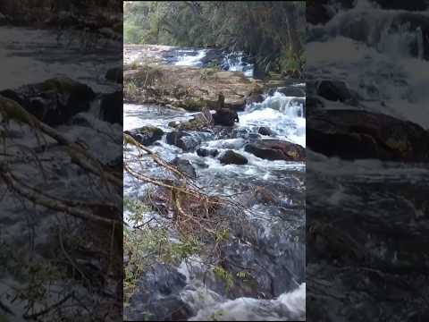 Cachoeira do Tigre em Quatro Barras 🇧🇷 o refúgio secreto no Paraná que poucos conhecem 🌿💦 #natureza