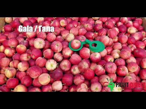 Яблоко сорта Гала Must