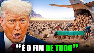 Eles Soltaram Milhares De Castores No Deserto Americano Sem Água Alguma, E O Resultado Foi Insano