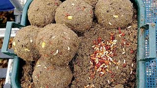 Яичная скорлупа как прикормка для рыбы