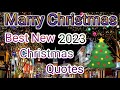 Hindi Christmas shayari || 🎄 Happy Christmas quotes 🧑‍🎄 New christmas wishes video ⛄Best Christmas