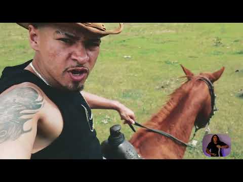TR MC - Alazão de Ouro 🐎