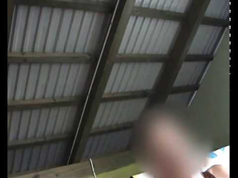 Mită electorală Suceava - comuna Todireşti, satul Părhăuţi