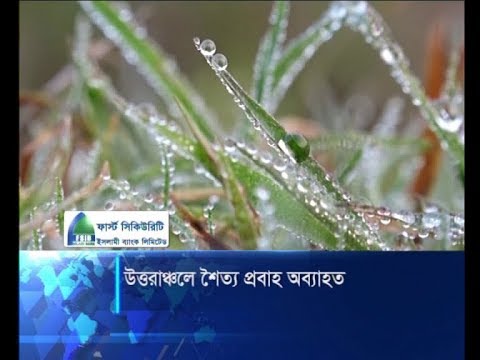 বিভিন্ন স্থানে শৈত্য প্রবাহ অব্যাহত: দিনের বেলায়ও জ্বলছে যানবাহনের হেড লাইট | ETV News