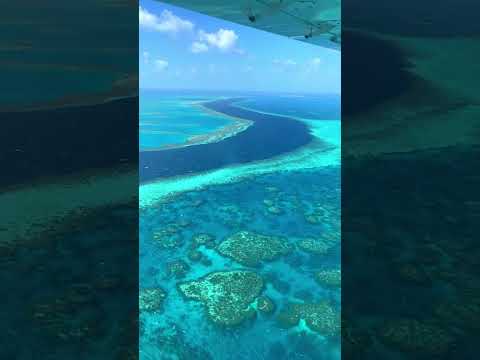 #greatbarrierreef #travel #Outdoors #adventure #bucketlist #ocea